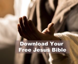 Download Free Jesus Bible